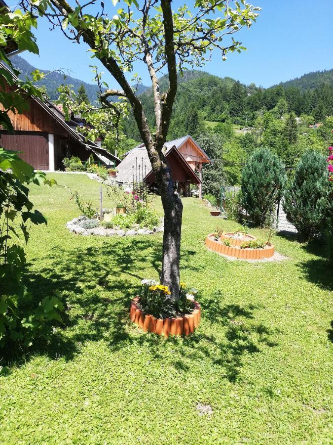 Apartmán Soba Pri Bregarju Bohinj Exteriér fotografie