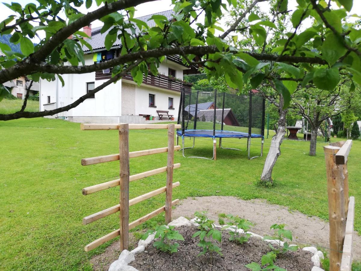 Apartmán Soba Pri Bregarju Bohinj Exteriér fotografie