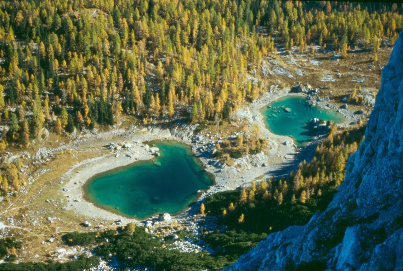 Apartmán Soba Pri Bregarju Bohinj Exteriér fotografie