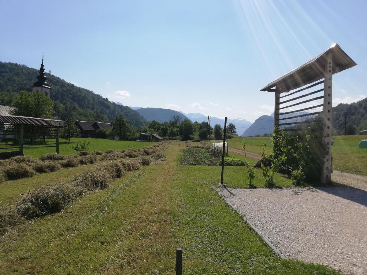 Apartmán Soba Pri Bregarju Bohinj Exteriér fotografie