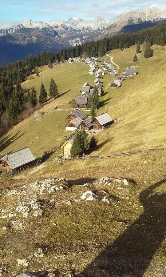 Apartmán Soba Pri Bregarju Bohinj Exteriér fotografie