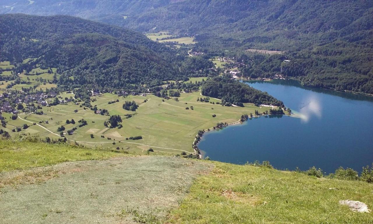 Apartmán Soba Pri Bregarju Bohinj Exteriér fotografie