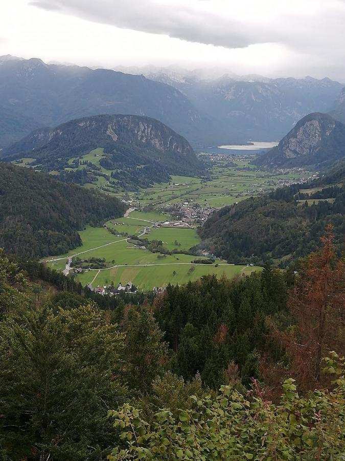 Apartmán Soba Pri Bregarju Bohinj Exteriér fotografie