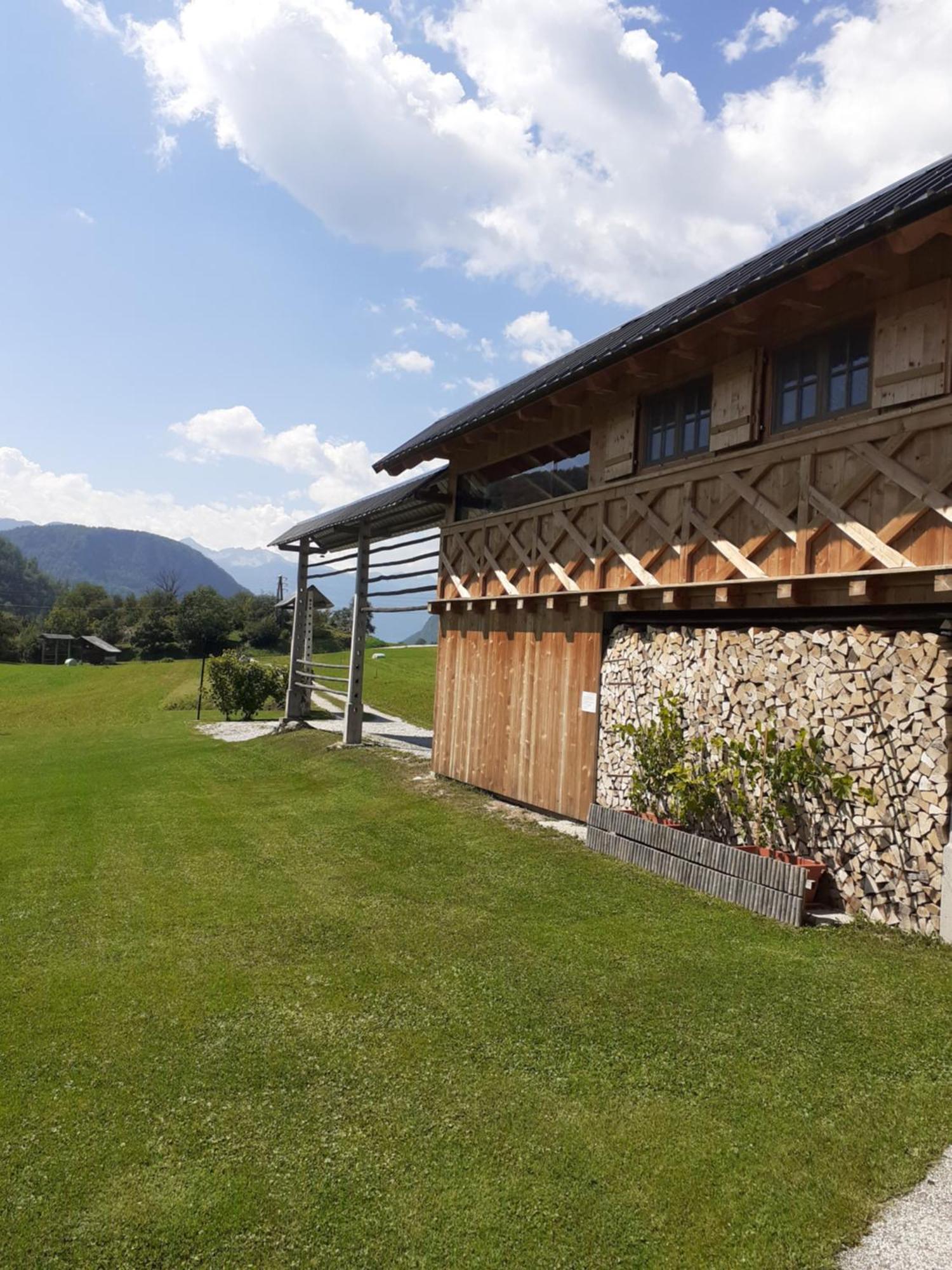 Apartmán Soba Pri Bregarju Bohinj Exteriér fotografie